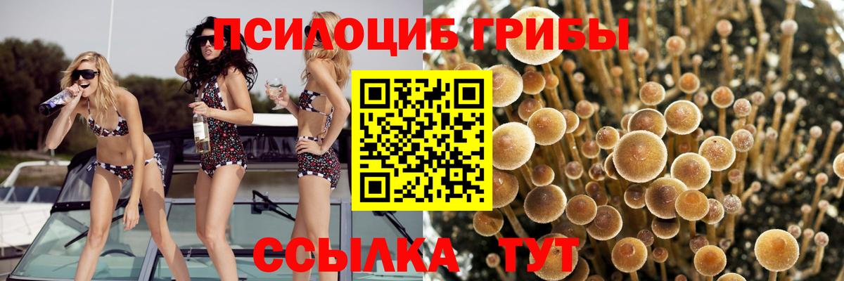 Псилоцибиновые грибы мухоморы Арсеньев